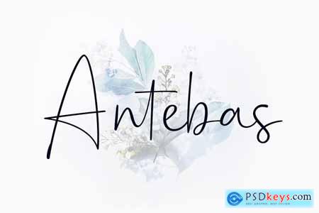 Antebas - Hand Display Script 3218903
