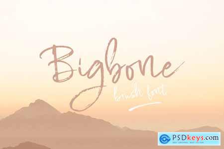 Bigbone Brush 4050548