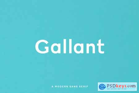 Gallant - A Geometric Typeface 4138027