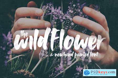 Wildflower Font 4171044