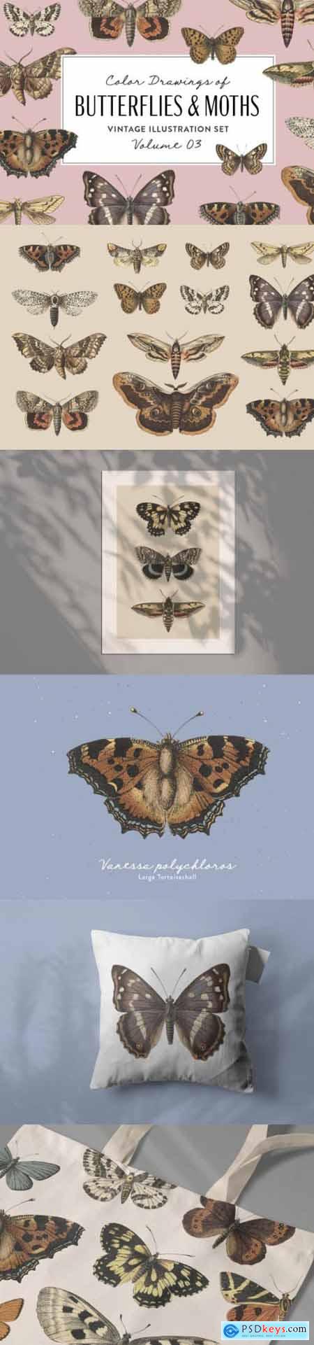 Butterflies & Moths Vintage Graphics Vol. 3