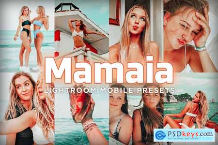Mobile Lightroom Presets - Mamaia 4179399