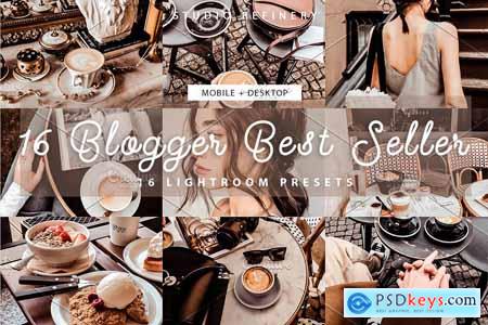 16 Blogger Best Seller Presets 4156049
