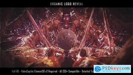 Videohive Organic Logo Reveal 19976013