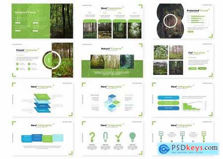 The Forest - Powerpoint and Google Slide Templates