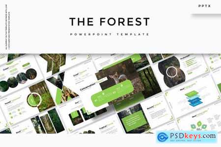 The Forest - Powerpoint and Google Slide Templates