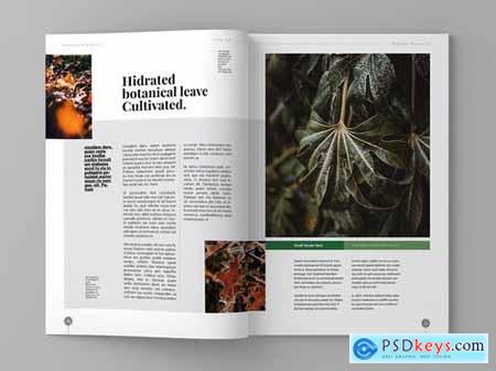 Super Plantae - Magazine Template