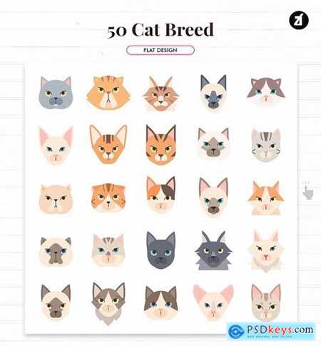 50 Cat breed elements