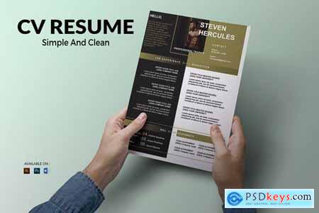 CV Resume clean And Bold