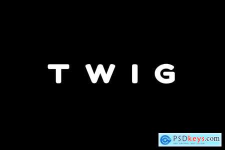 TWIG - Unique Display Headline Logo Typeface 4245324