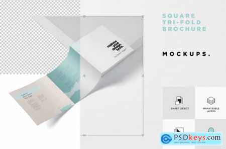 Tri-Fold Brochure Mock-Up - Square