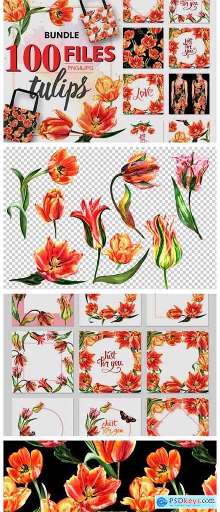 Tulip Red PNG Watercolor Flower Set 1943277