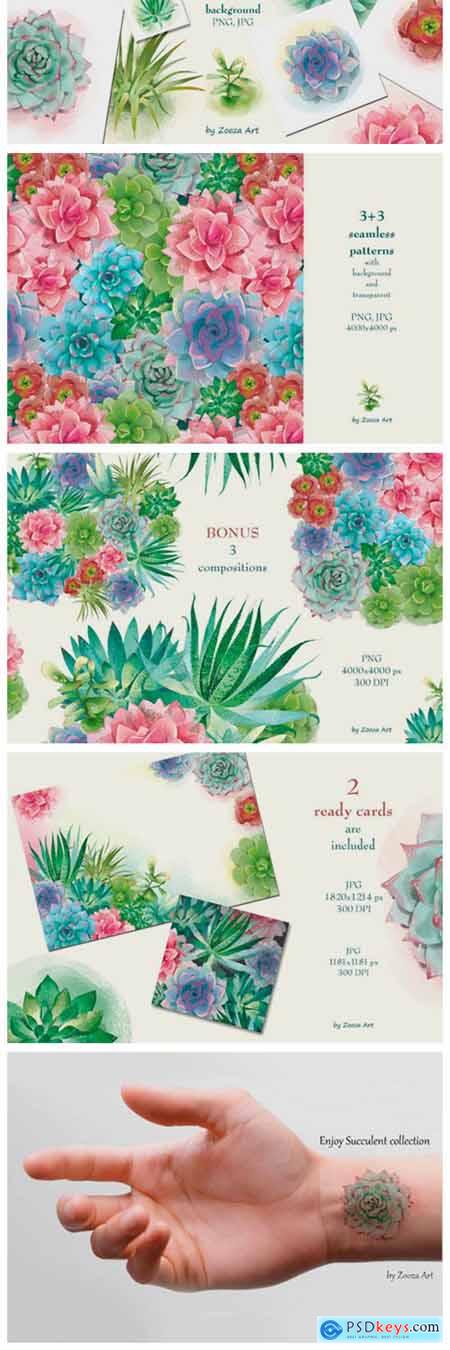 Succulents Illustrations and Patterns 1956501