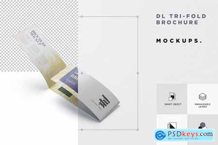 DL Tri-Fold Brochure Mock-Up Set