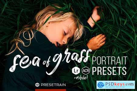 Sea of Grass Portrait Presets 4254637