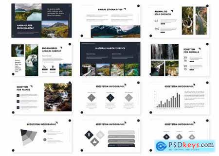 Ecosystem - Powerpoint Google Slides and Keynote Templates