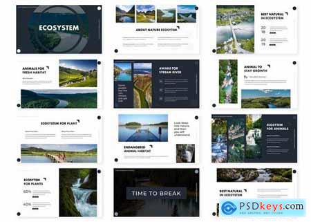 Ecosystem - Powerpoint Google Slides and Keynote Templates