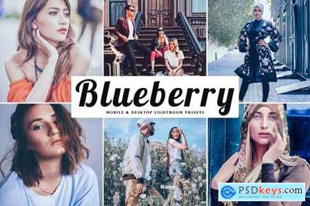 Blueberry Mobile & Desktop Lightroom Presets
