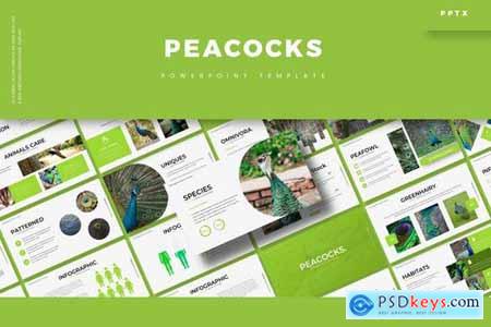 Peacoks - Powerpoint Google Slides and Keynote Templates