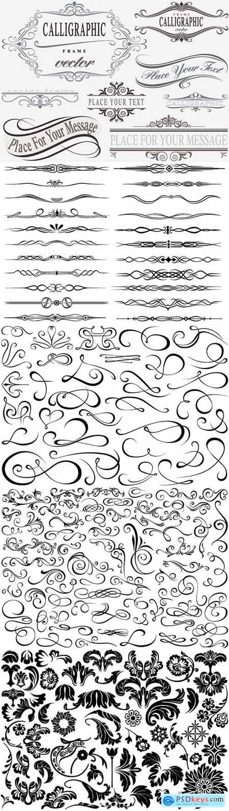 Vector graphic elements in calligraphic or floral design