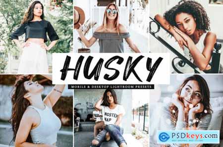Husky Mobile & Desktop Lightroom Presets