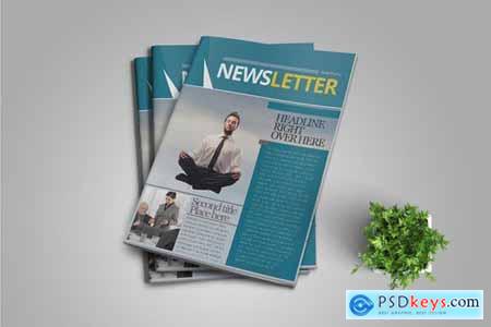 InDesign Newsletter Template520