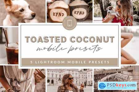 Toasty Lightroom Mobile Presets 3742030