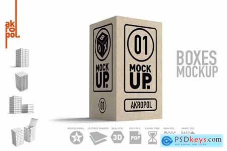 Box Mock Up-01 3842857