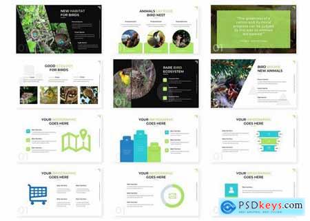 Butibird - Powerpoint and Keynote Templates