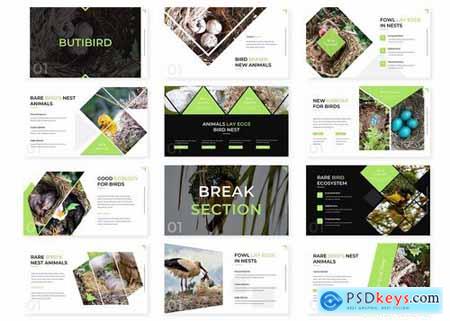 Butibird - Powerpoint and Keynote Templates