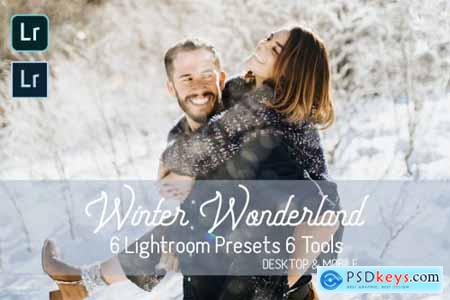 Winter Wonderland Lightroom Presets 4255296