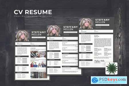 Executive CV Resume