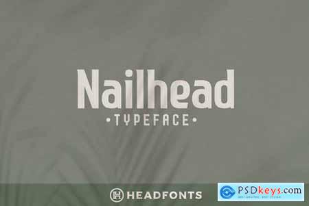 Nailhead Modern Wedding Typeface 4358423
