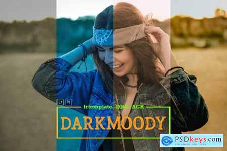 Darkmoody LR Mobile and ACR Presets 4170750