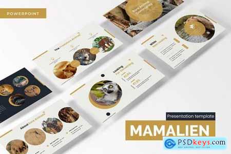 Mamalien - Powerpoint Google Slides and Keynote Templates