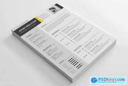 Professional and Modern CV - Resume Template