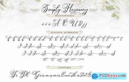 Simply Harmony Stylistic Modern Calligraphy Font