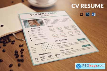 CV Resume Simple And Clean
