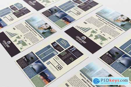 Infographic Business Flyer Template