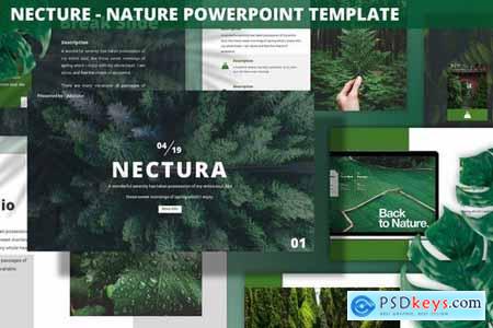Nectura - Nature Template » Free Download Photoshop Vector Stock image Via Torrent psdkeys.com
