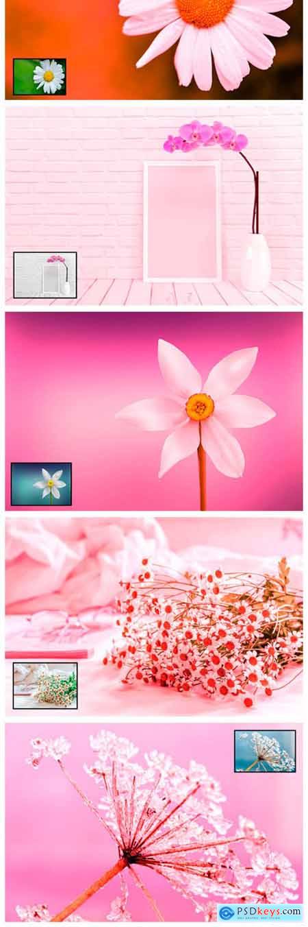 Pink Theme Effect Ps Action 2127520