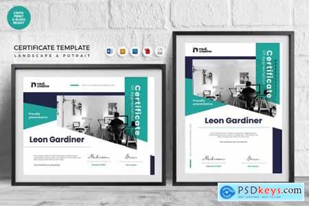 Professional Certificate Template Vol 19