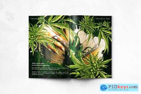 CBD Hemp Oils Magazine - A4 & US Letter - 22 pgs