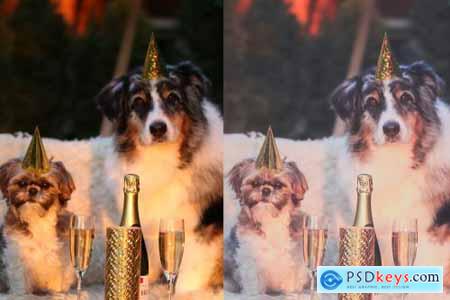 5 Lightroom Presets, New Year Party 4424549