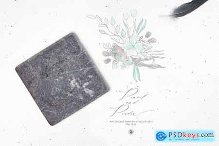 Pencil and Powder Flowers
