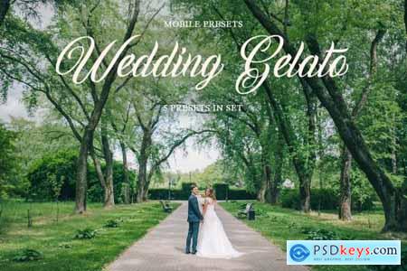 Wedding Gelato Mobile Presets 4423386