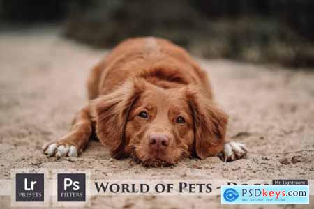 World of Pets Dogs Lightroom Presets 4413945