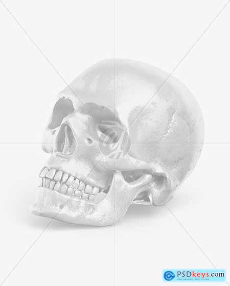 Skull Mockup 55218