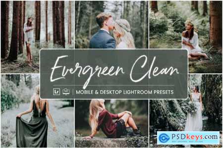 Lightroom Presets Evergreen Clean 4412831