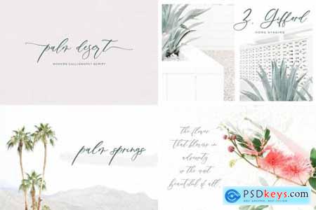The Calligraphy Font Bundle 4505490